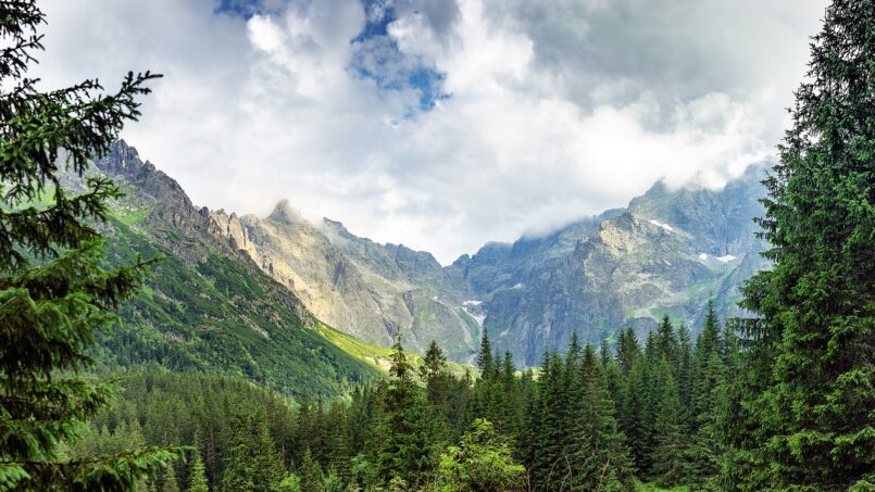 Tatrzański Park Narodowy